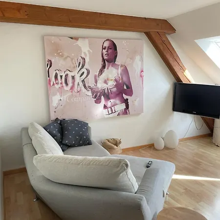 Daire 1-bed In Lively Kreis 4, Fireplace Zürih