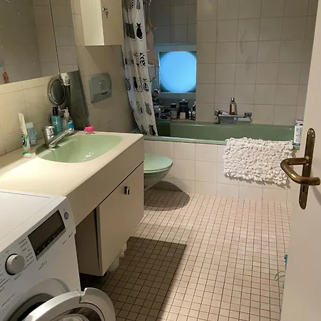 1-bed In Lively Kreis 4, Fireplace *