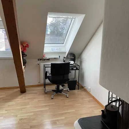 Daire 1-bed In Lively Kreis 4, Fireplace Zürih
