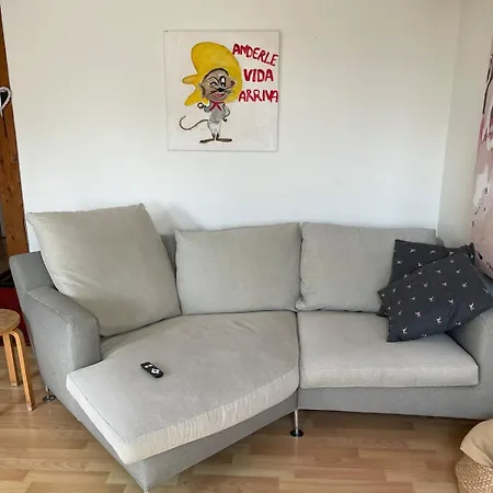 1-bed In Lively Kreis 4, Fireplace *